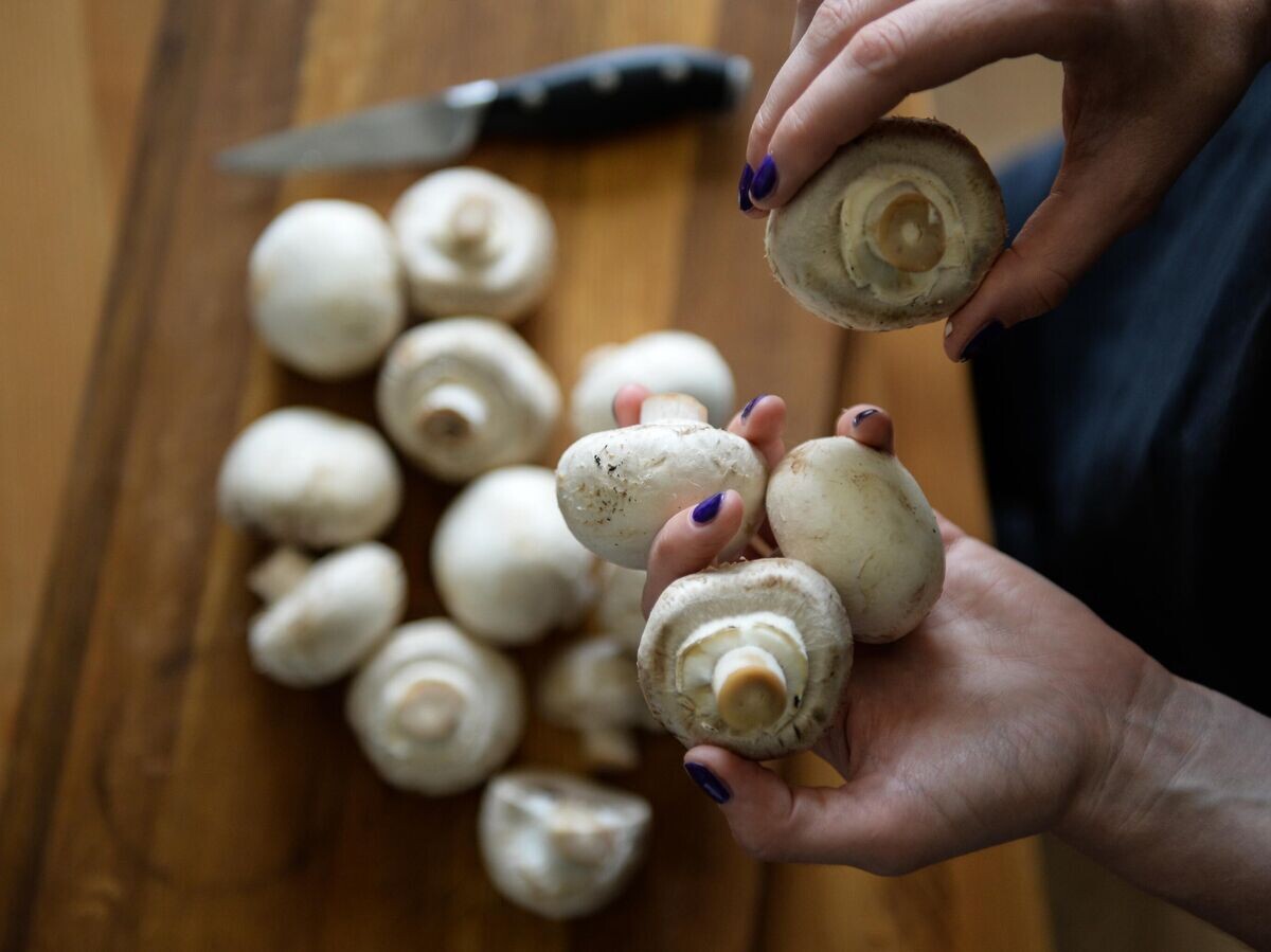    Свежие шампиньоны© РИА Новости / Александр Кряжев