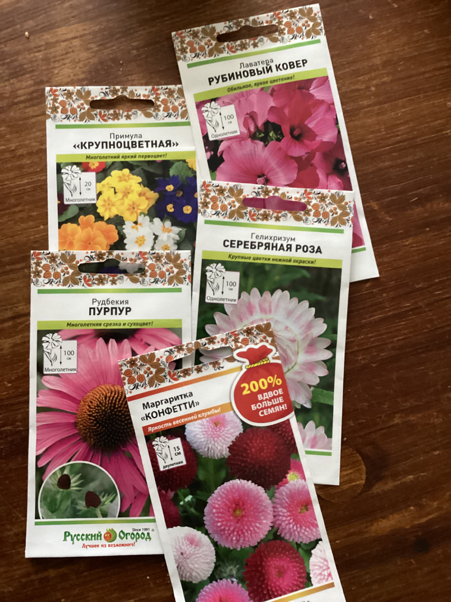 Будущая красота. 