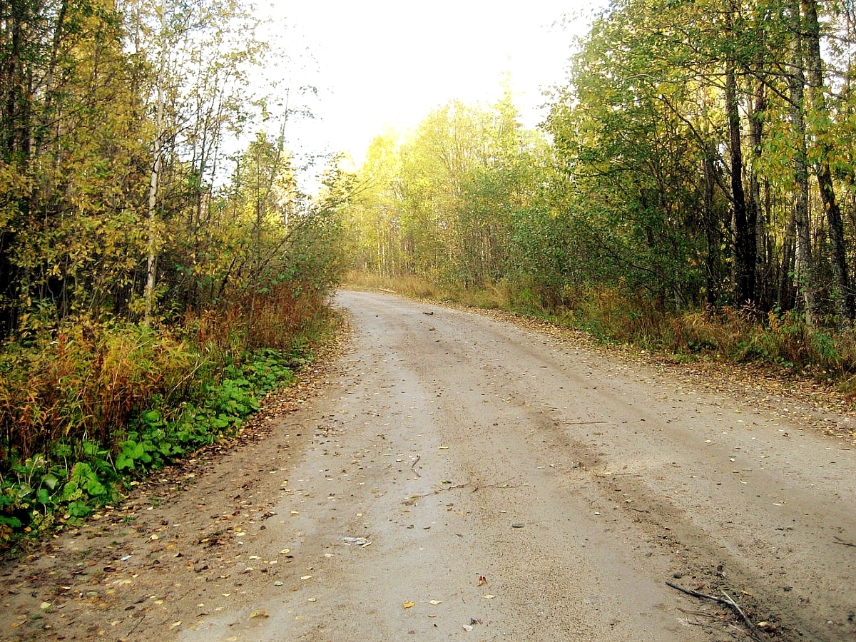 Впереди были 47 км пути ... 