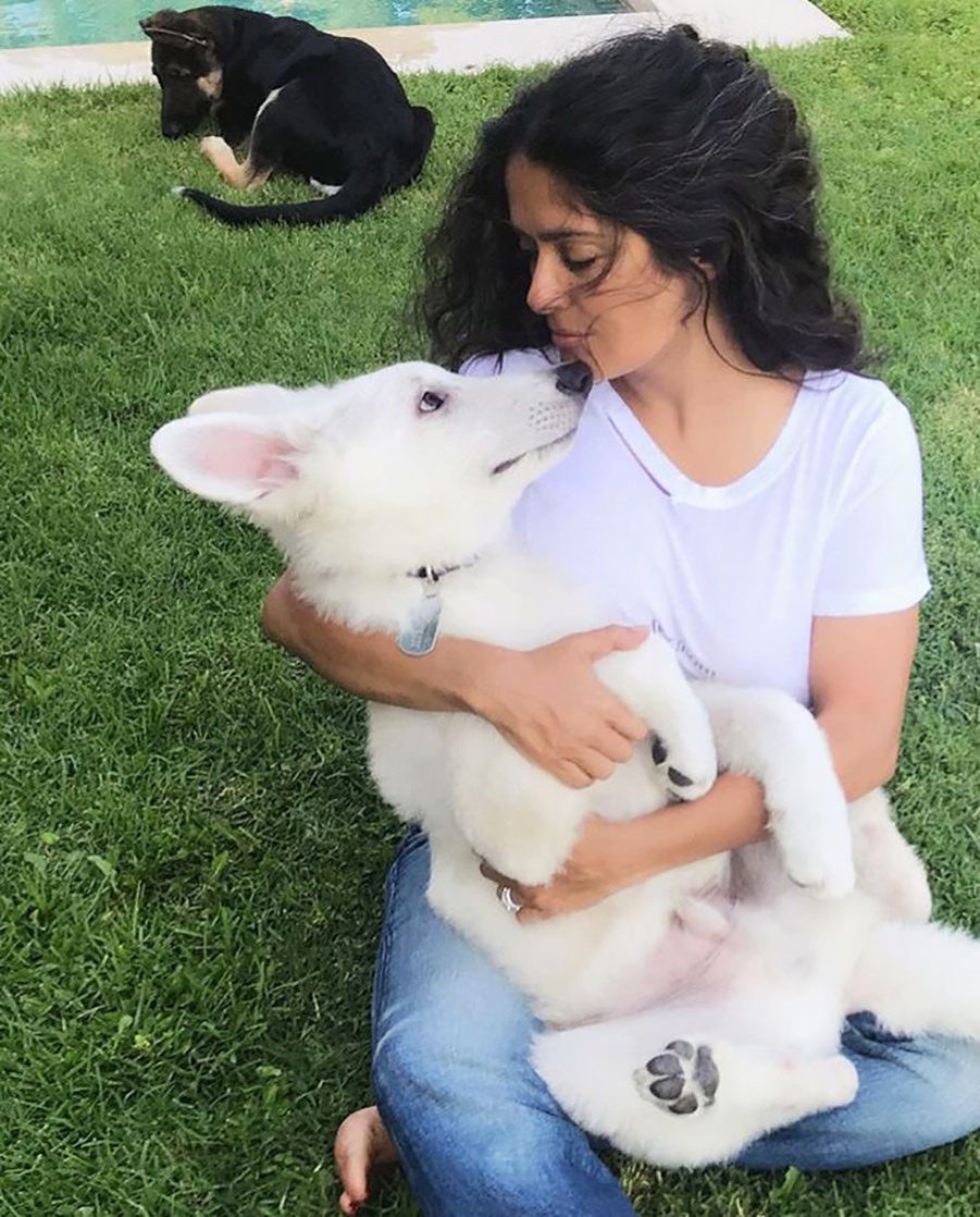 Сальма с четвероногими друзьями