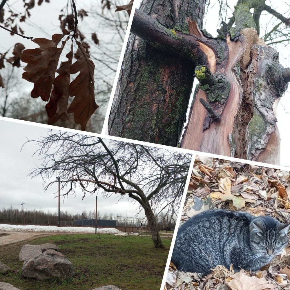 Фото в стиле WABI-SABI (яп. 侘寂).                  