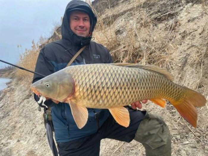 Источник фото: Блог Виталия Шульги