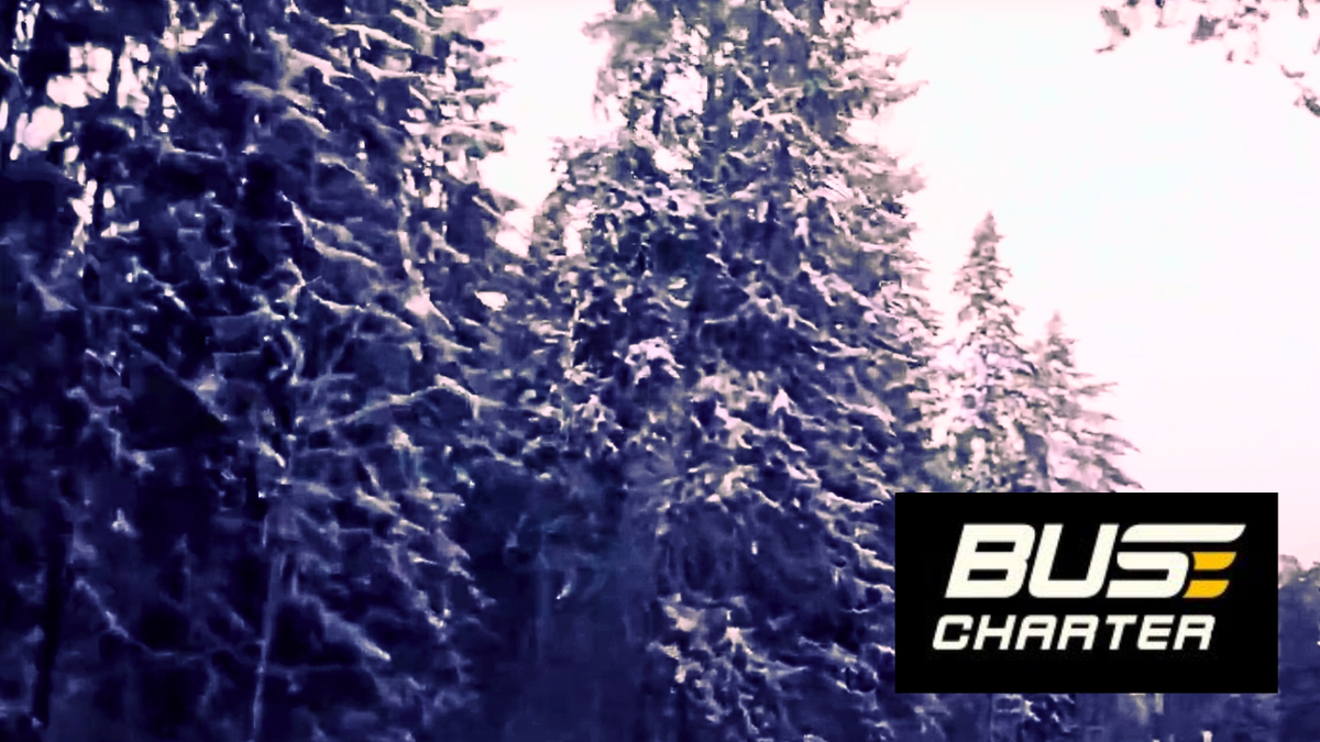 Поездка на автобусе из Москвы