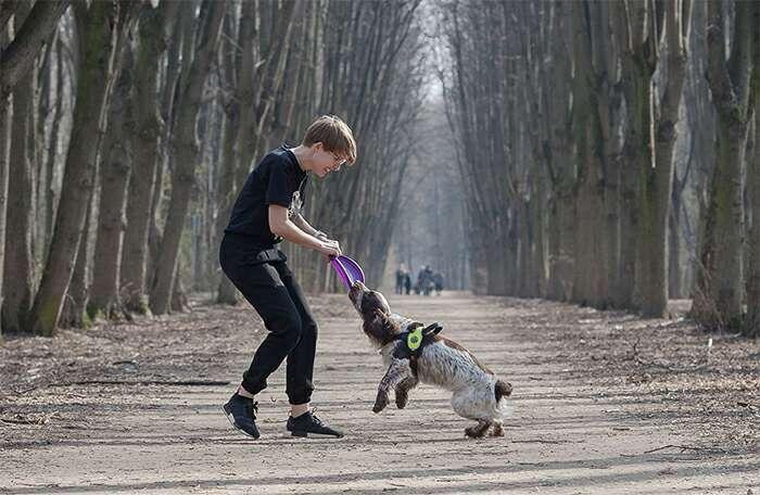 Кто сильнее? Иллюстрация с сайта Яндекс. Картинки.