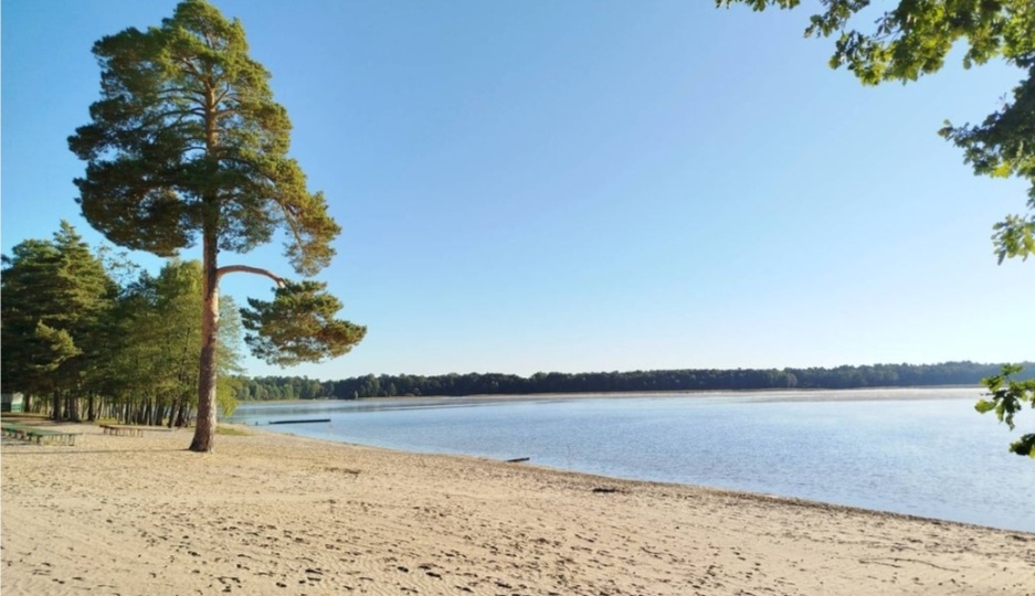 Санатории Беларуси, личный опыт. Алеся