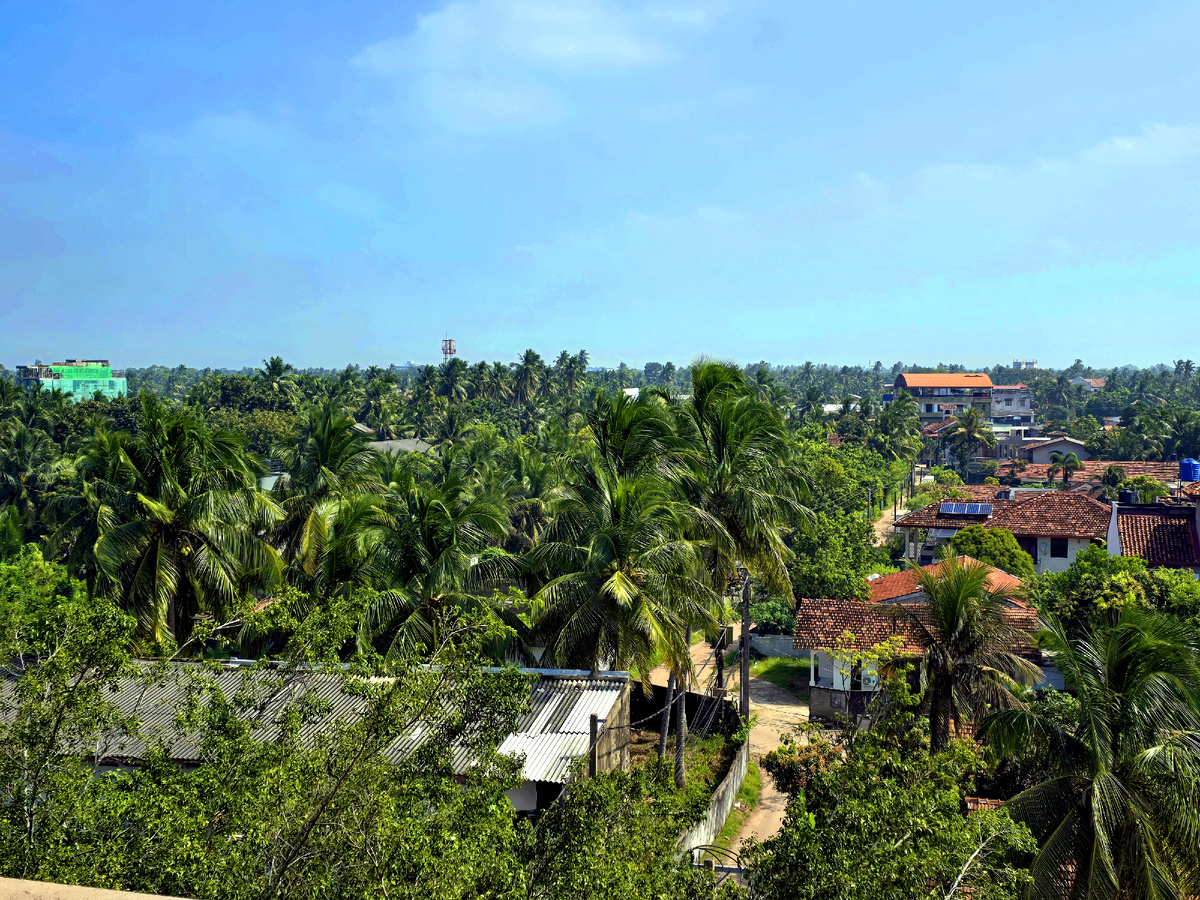 Шри-Ланка, январь 2025 г.