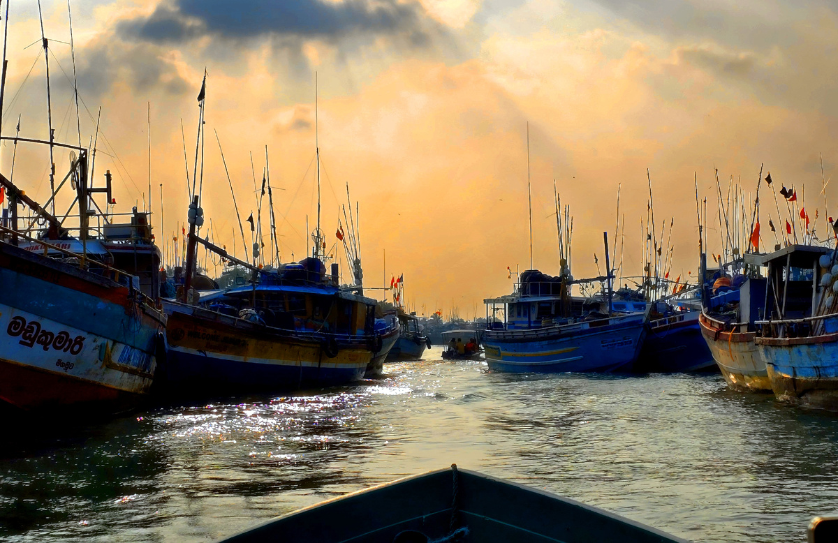 Шри-Ланка, январь 2025 г.