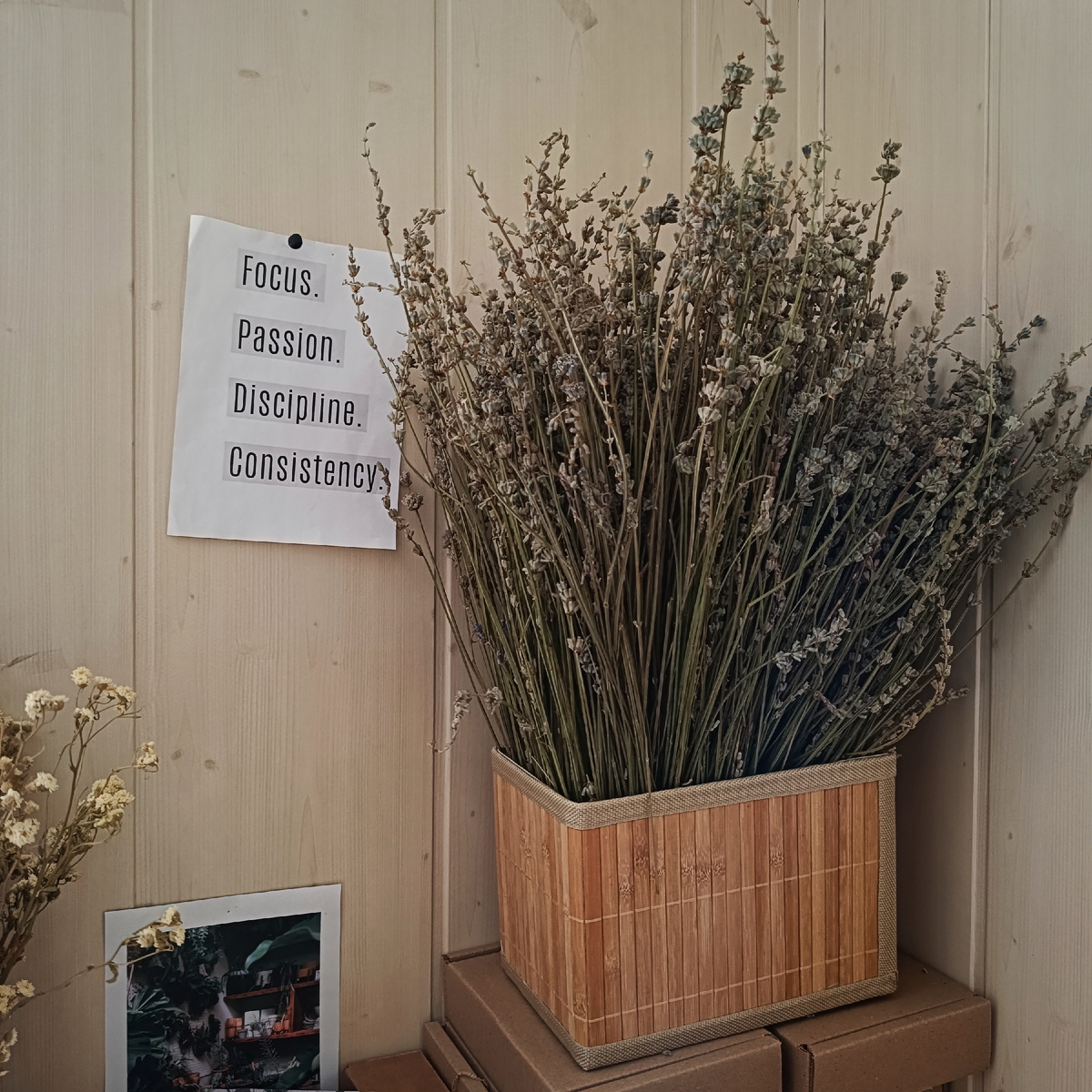 Сделала для себя напоминание:  Фокус. Страсть. Дисциплина. Последовательность. 