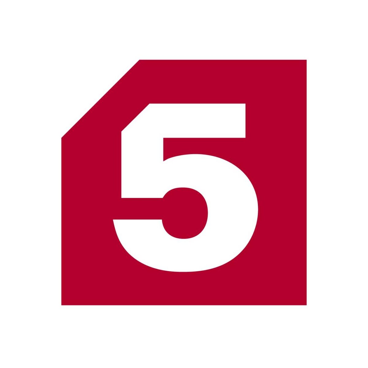 Эмблема телеканала "Пятый канал". Исочник: Яндекс.Картинки