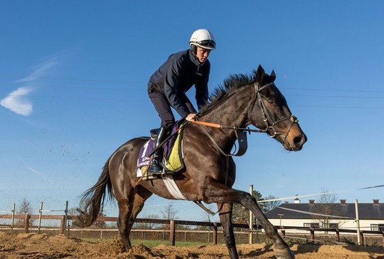    INPHO/IMAGO/Morgan Treacy/ТАСС