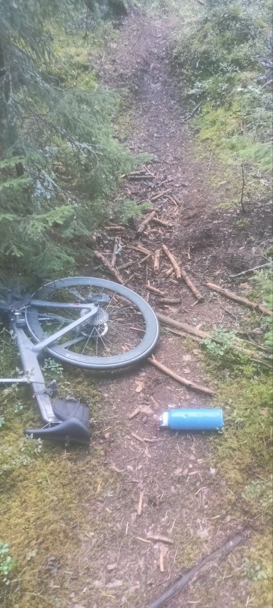 упал, от досады решил сфотать