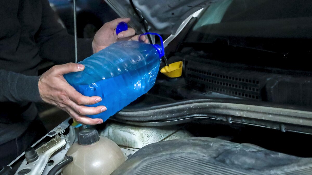 Фото: Elena Mayorova/globallookpress.com