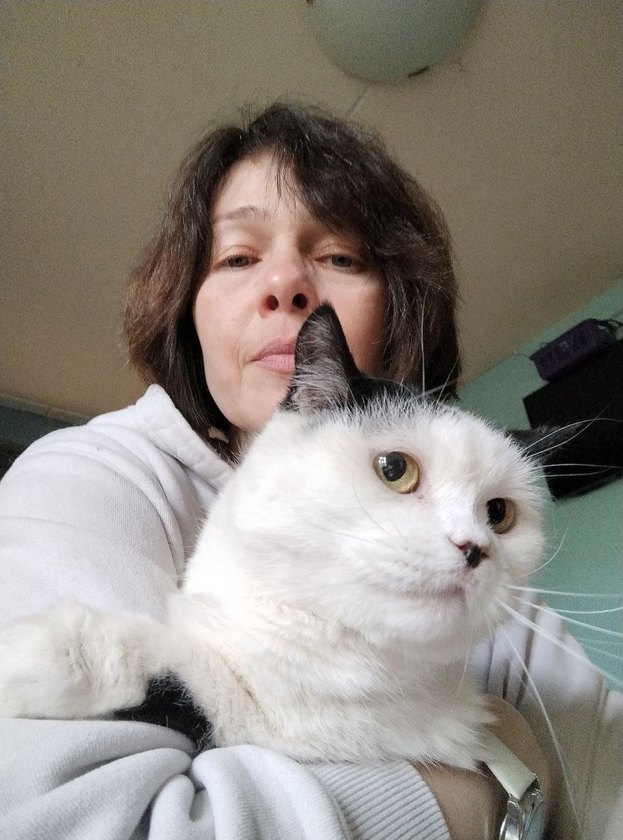 Редкий случай, когда кошка не прячется, когда приезжает куратор)))