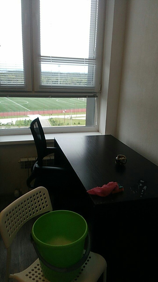 Мой первый визит в арендную квартиру с ведром и тряпкой. Вид из окна был шикарный! 