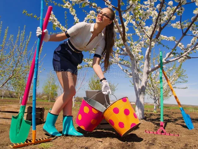 Молодая дачница