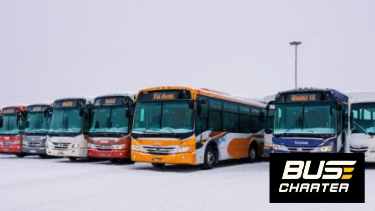 Автопарк 2000 года.