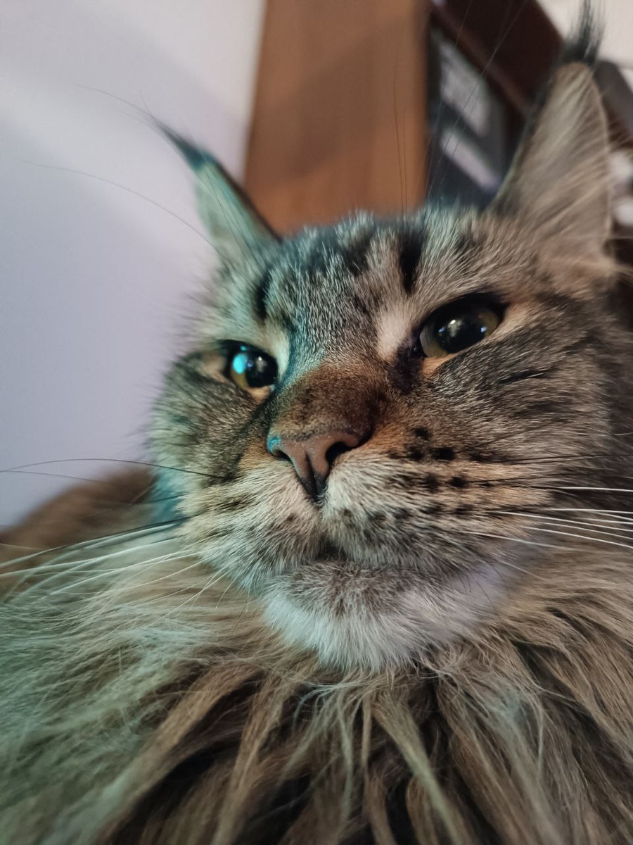 Это я возмурщена