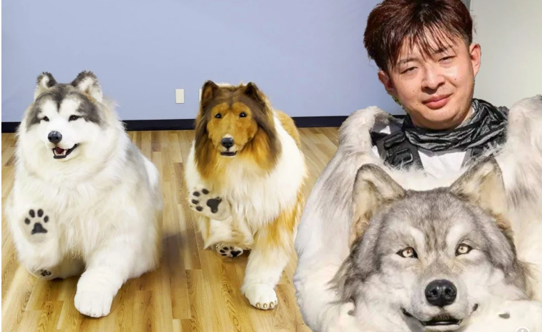 Какой из двух костюмов вам больше нравится? Хаски более новая модель