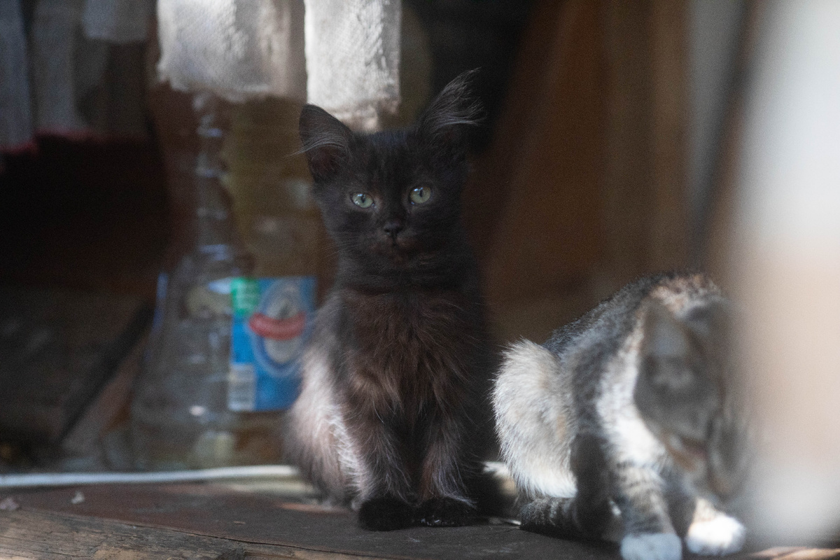 А я думала, что мы как в раю живем. Еда же была