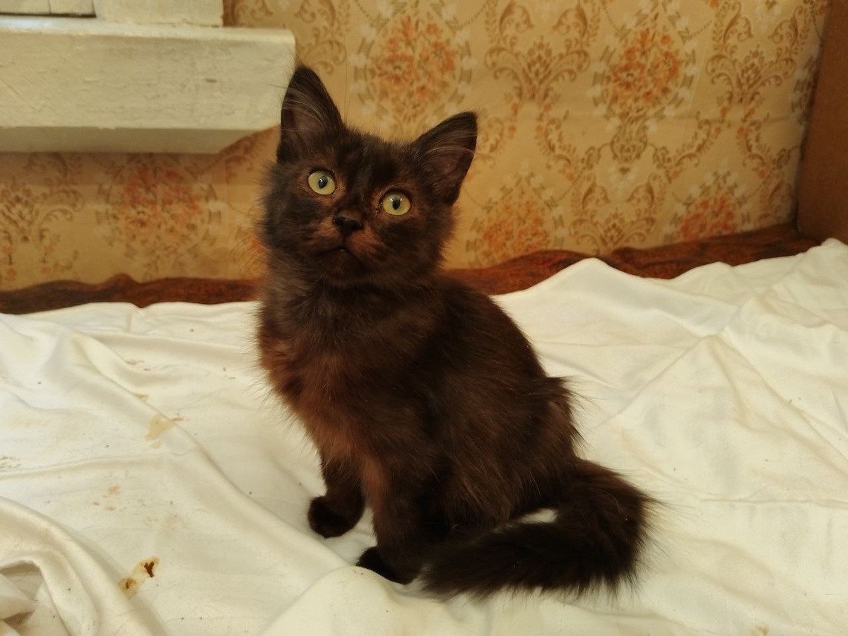 Так не просто так же говорил наш бывший хозяин! У него эксклюзив!