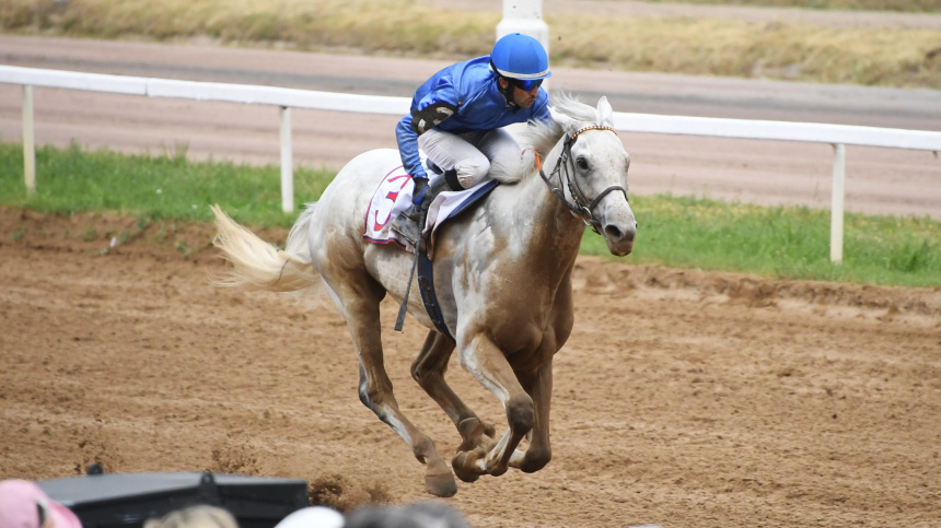    Фото: © РИА Новости/Илья Питалев