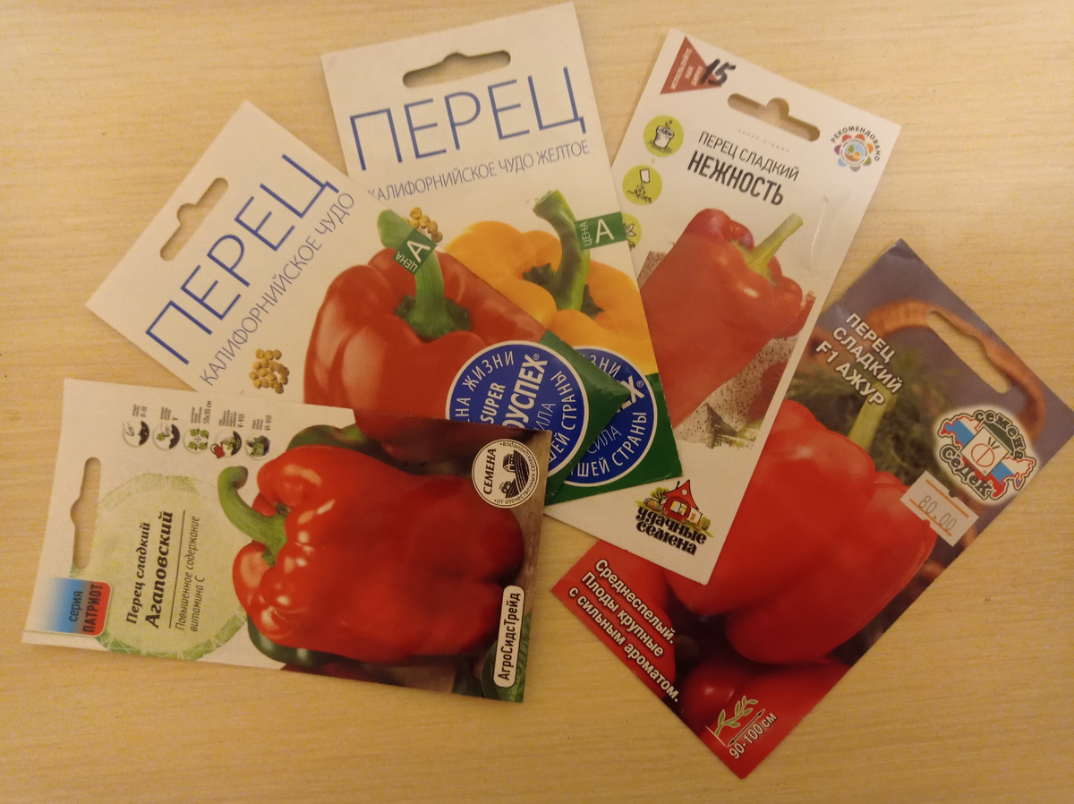 В прошлом году эти сорта сажала от других агрофирм. А гибрид Ажур буду сажать в первый раз