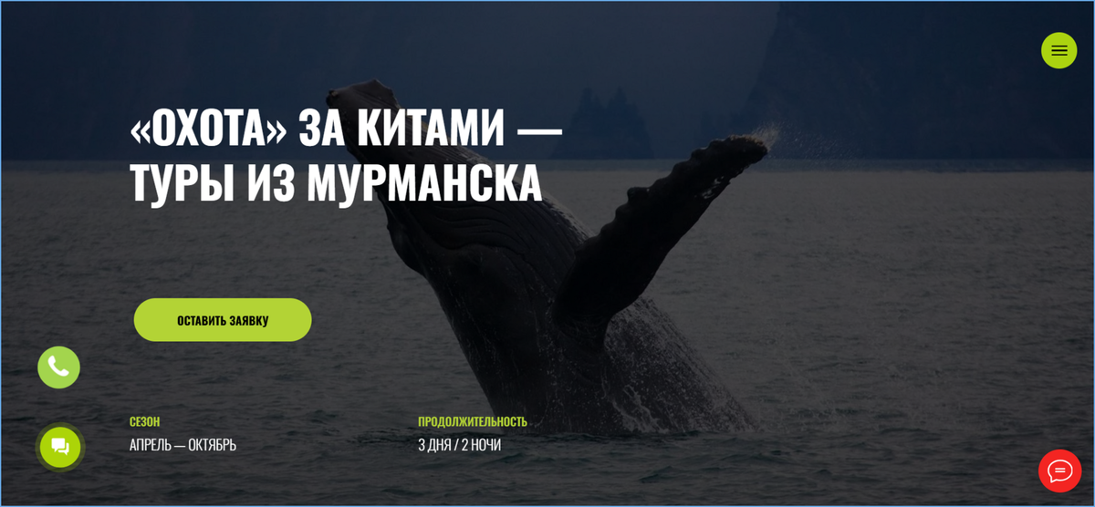 Арктик-отель «Китовый берег» предлагает гостям туры со встречей с китами