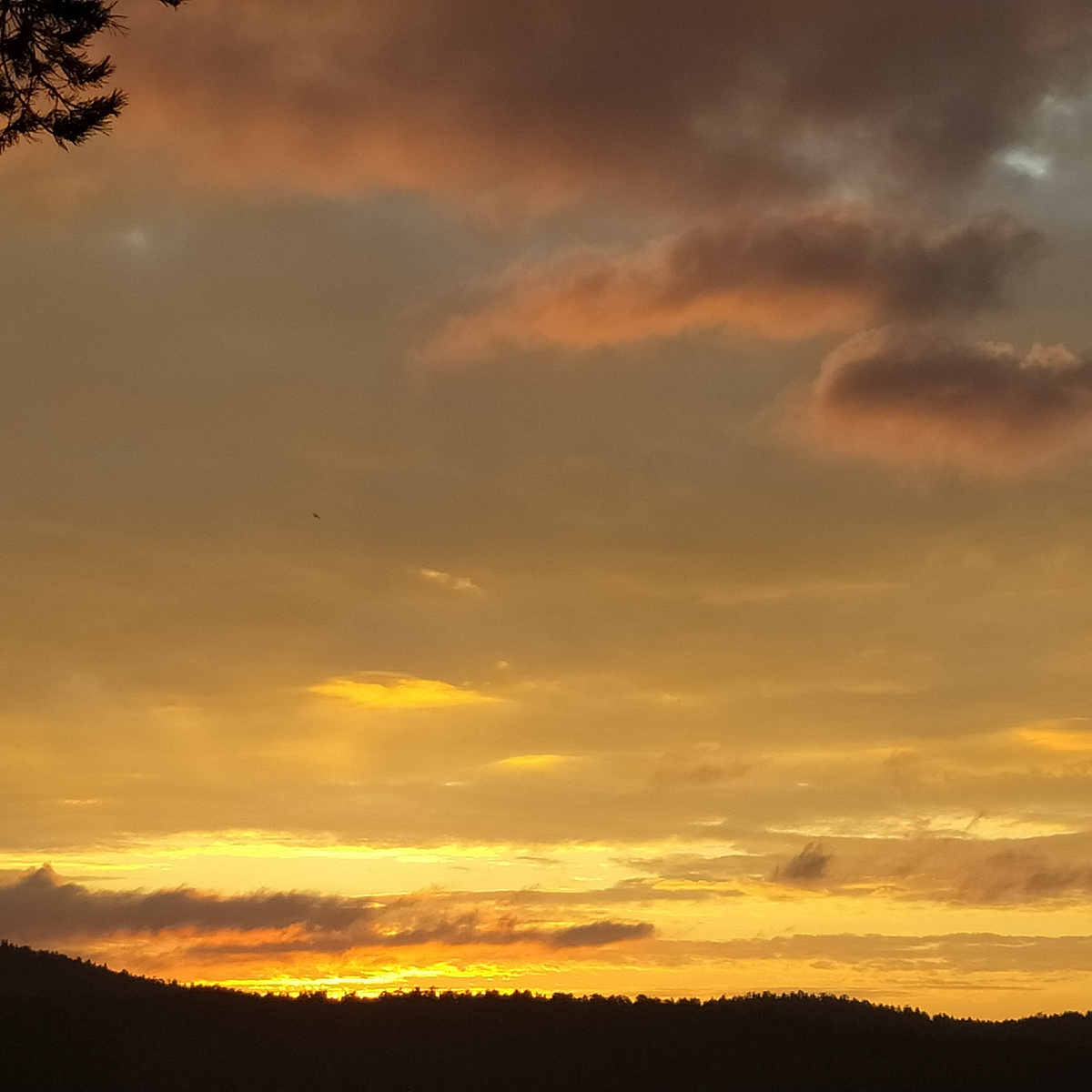 Из личного архива