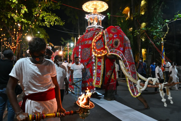 Слоны очень часто участвуют в парадах, в 2020 на параде от усталости умер слон