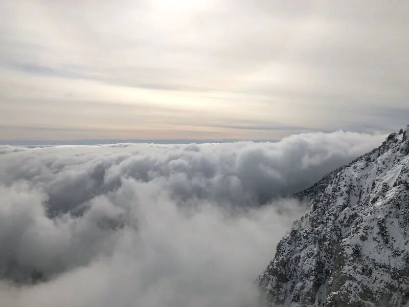 Фото: UfacityNews.ru