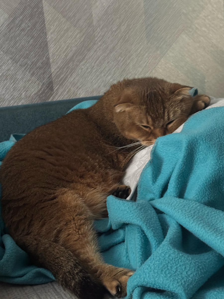 Мэй Ли (из личного архива)