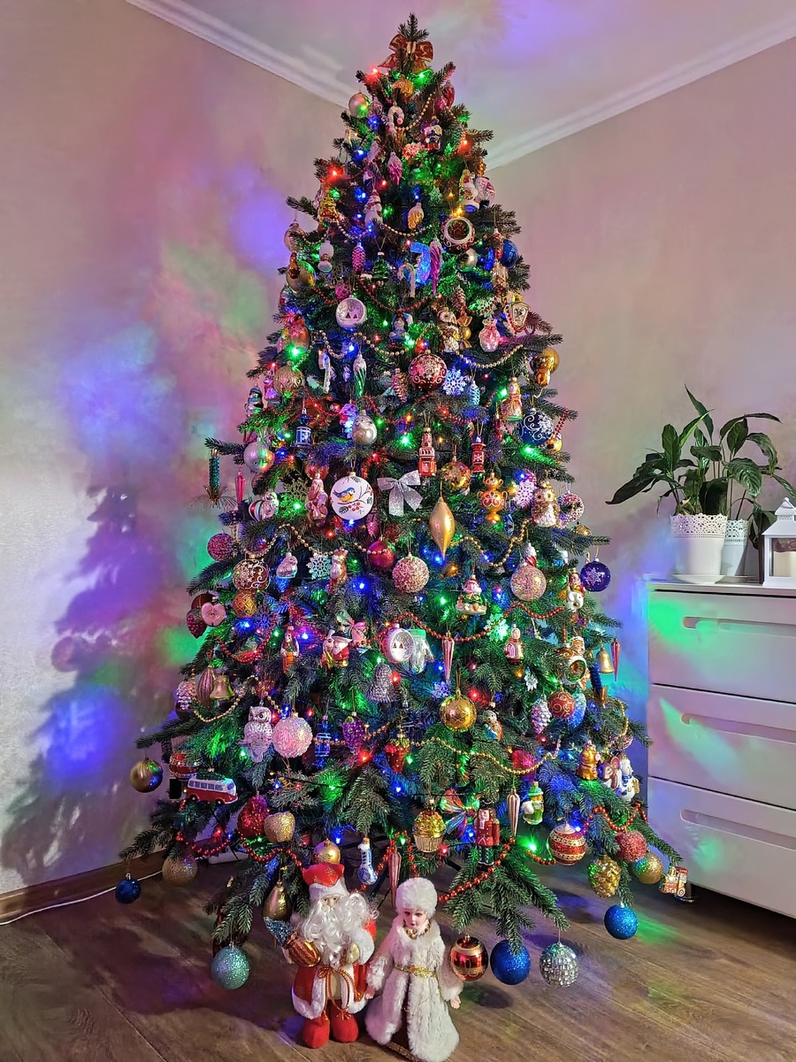 Татьяна Шашкина "МИСС ЁЛОЧКА 2025"