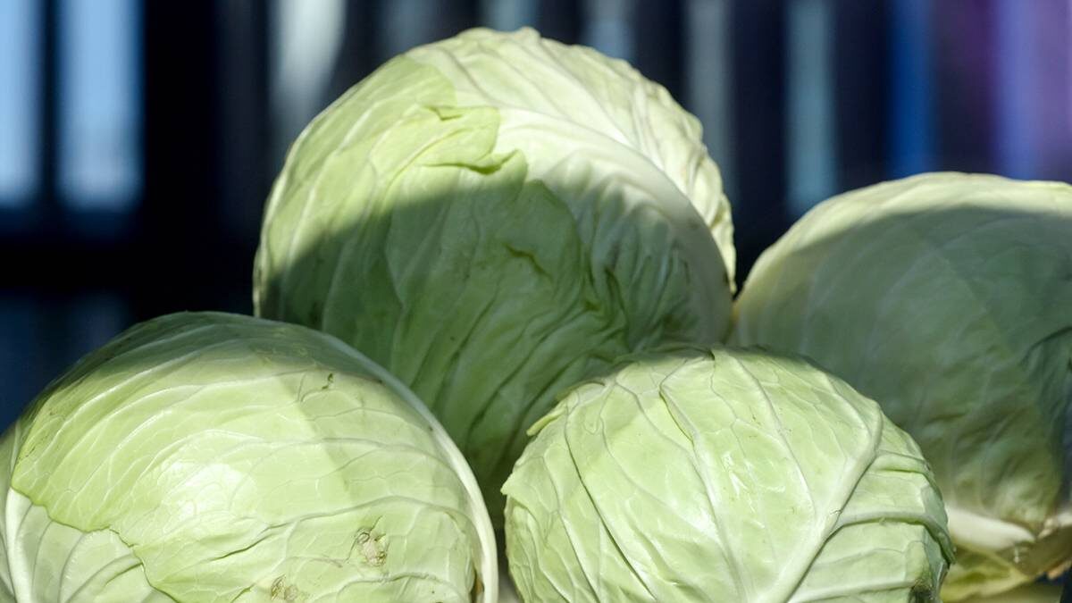    Фото: Ярослав Чингаев / АГН Москва