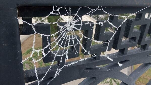    © РИА Новости Крым