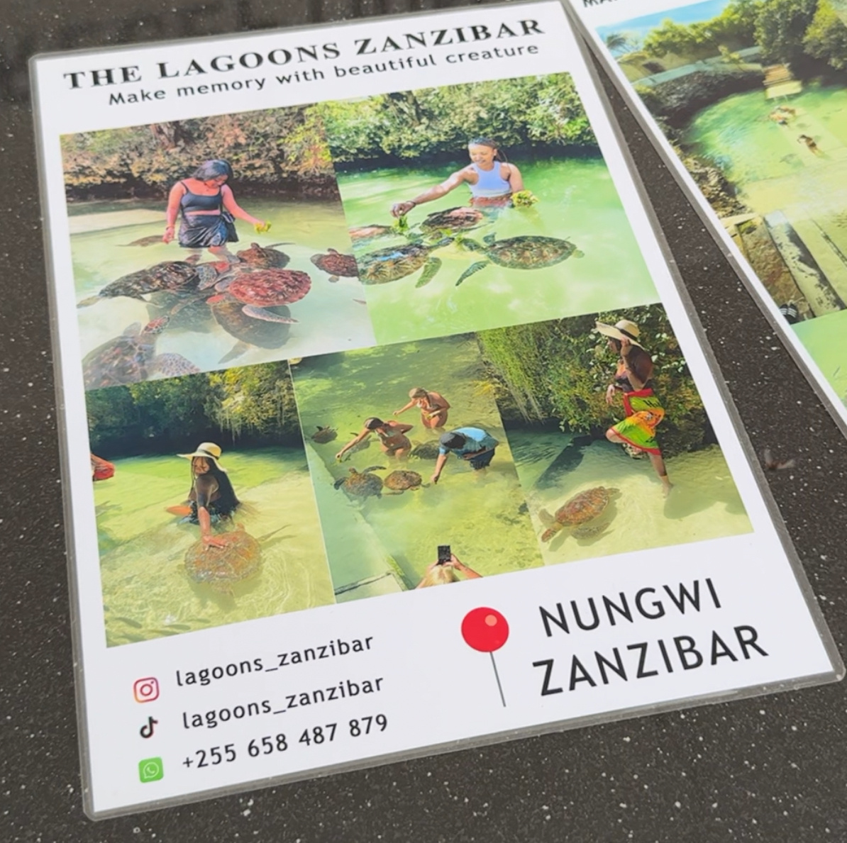 Аквариум с черепахами на Нунгви