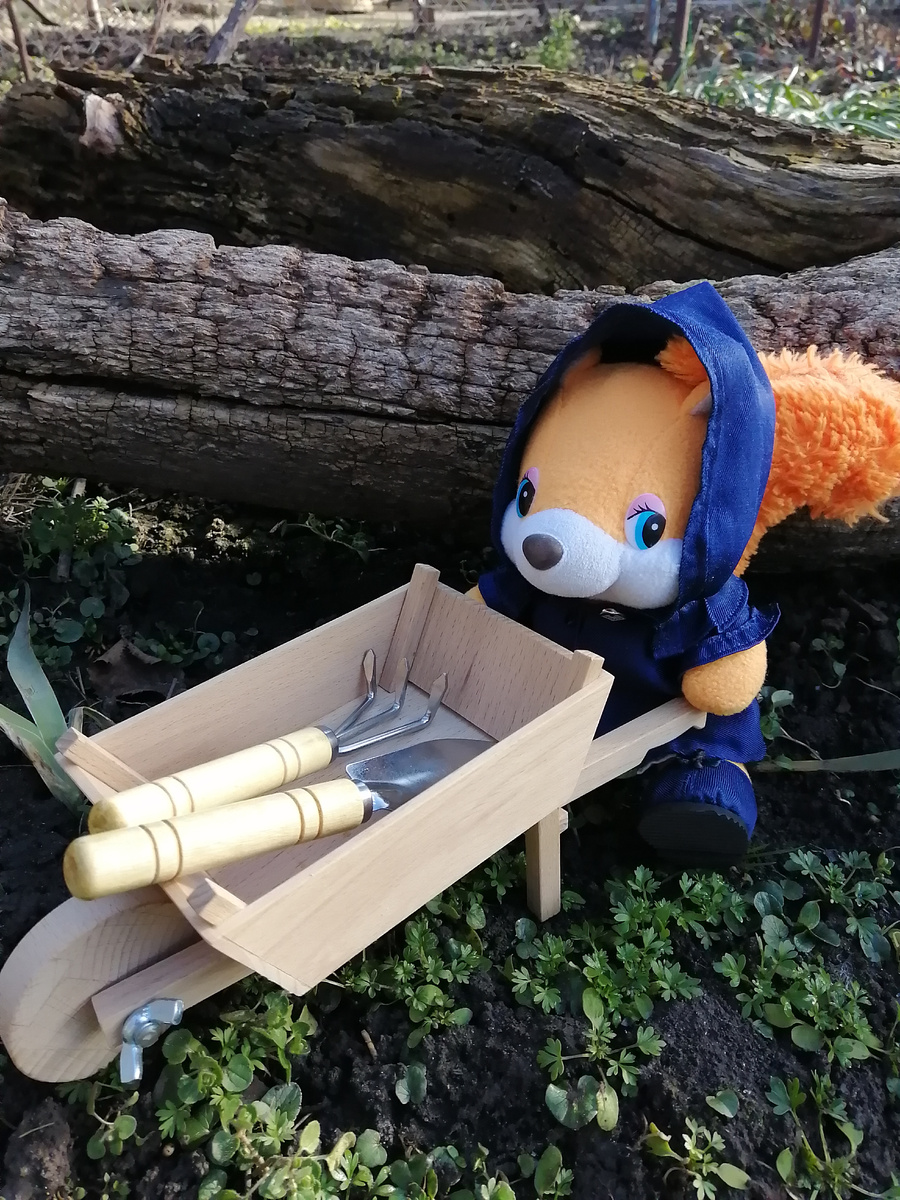 Белочка с инструментами.