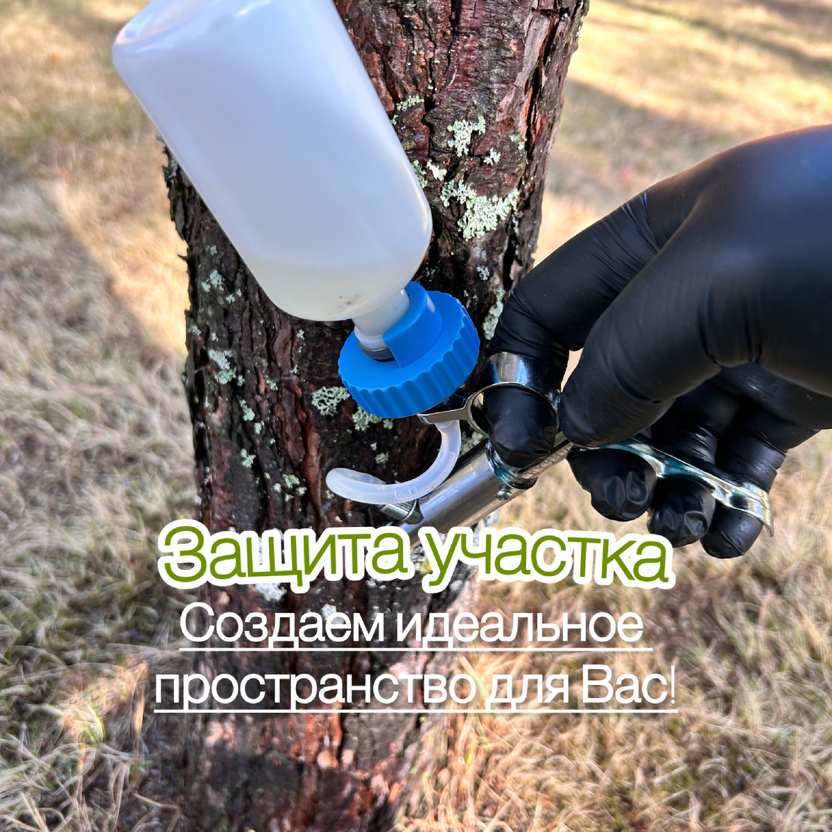 Стволовая инъекция от короеда