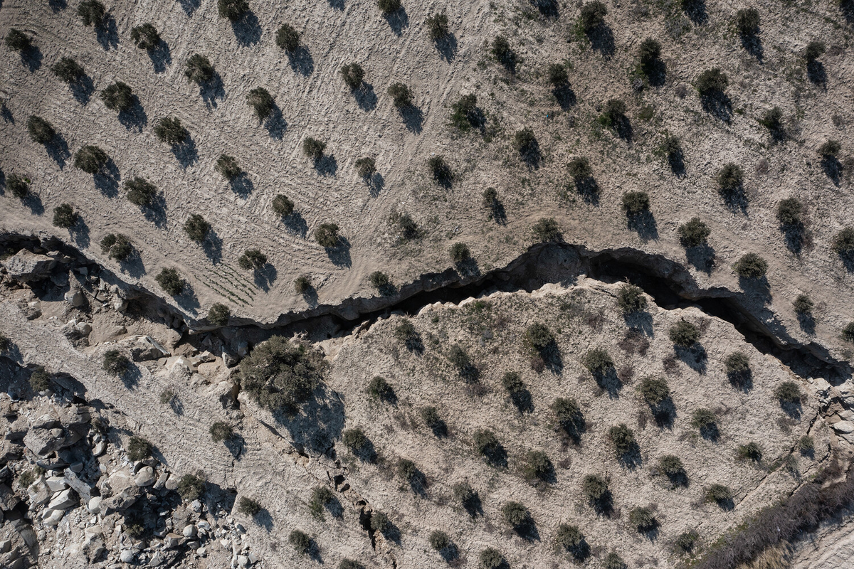 Гигантский разлом, образовавшийся в результате землетрясения в оливковой роще в турецкой деревне Тепехан, 18 февраля 2023 года