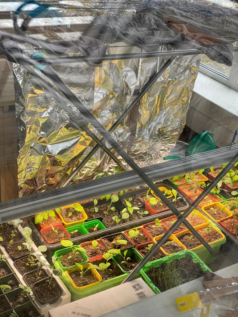 Вид с террасы через окно