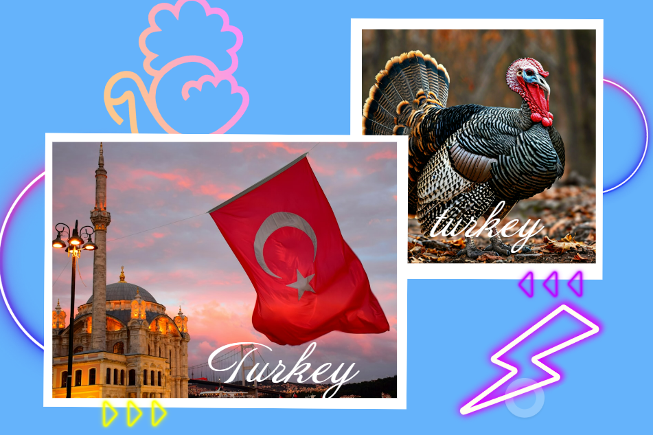 Почему turkey это индейка и Турция