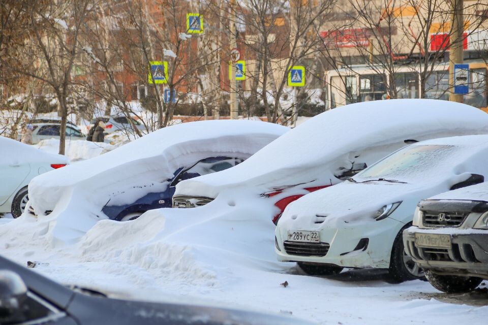   "Автомобили-подснежники". Источник: Виталий Барабаш/"Толк"
