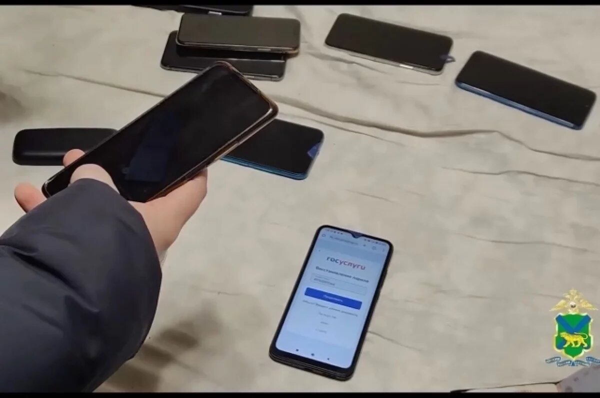    Задержан житель Владивостока, подозреваемый во взломе аккаунтов Госуслуг