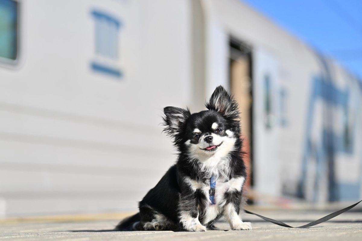 Фото: пресс-служба ГСЭ