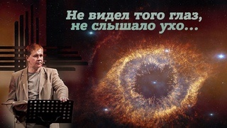 Из открытых источников Яндекса.