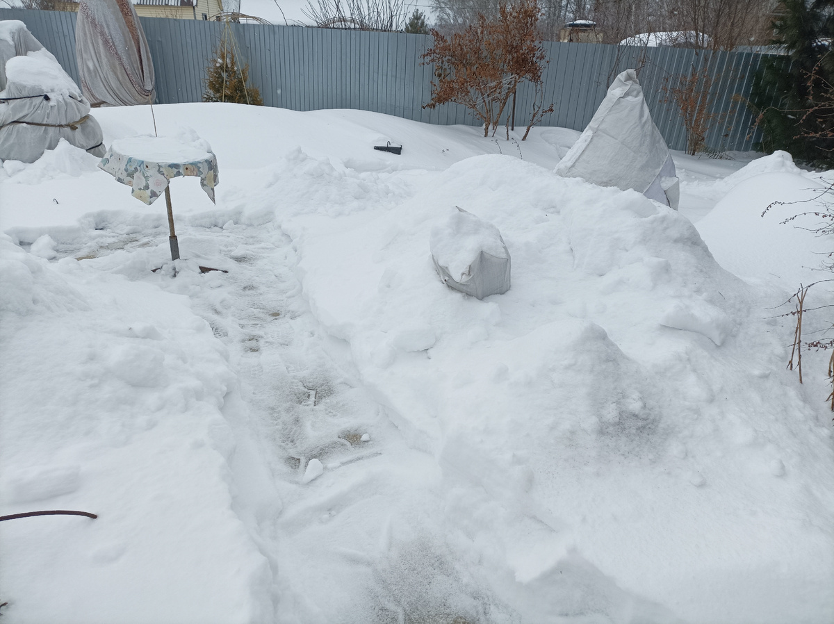 2 января, 2025 г