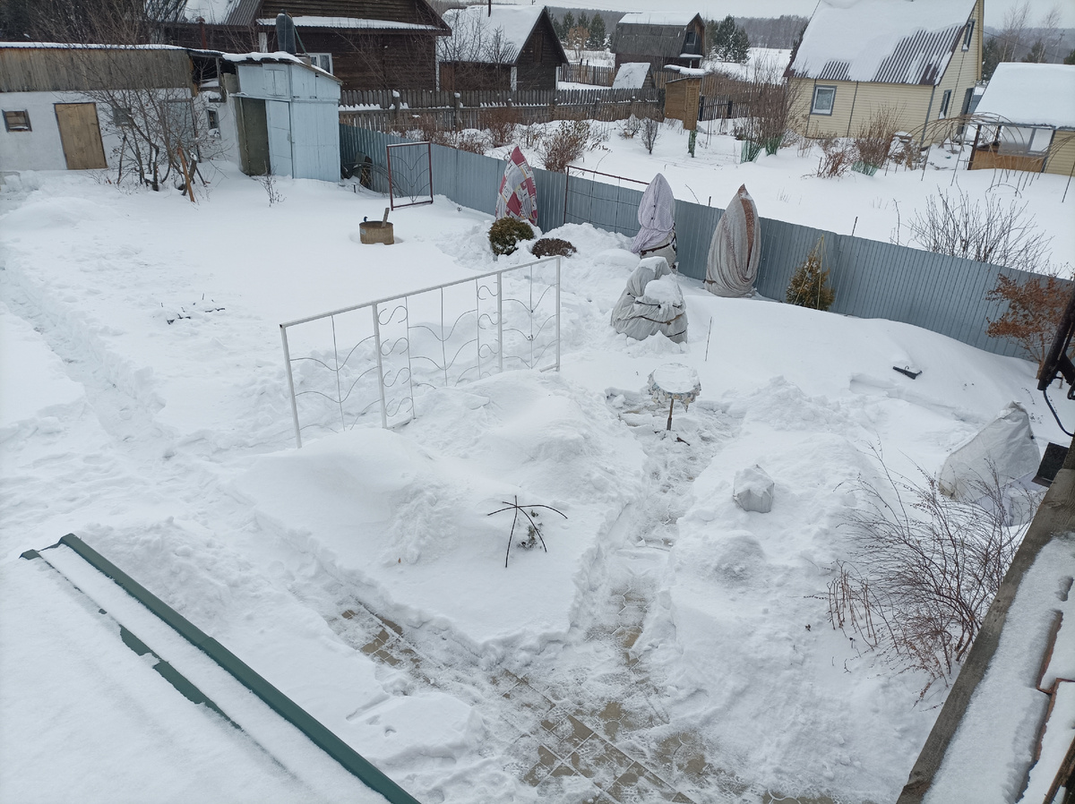 2 января, 2025 г