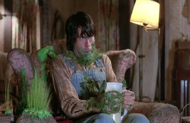 Фото находится в свободном доступе в Интернете