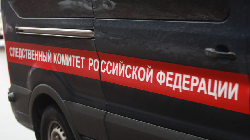    Фото: ИЗВЕСТИЯ/Зураб Джавахадзе