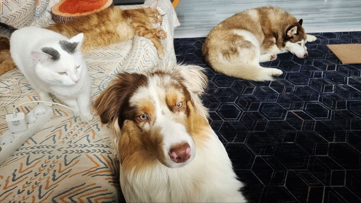 "Мам, у меня за спиной кто-то есть!?"