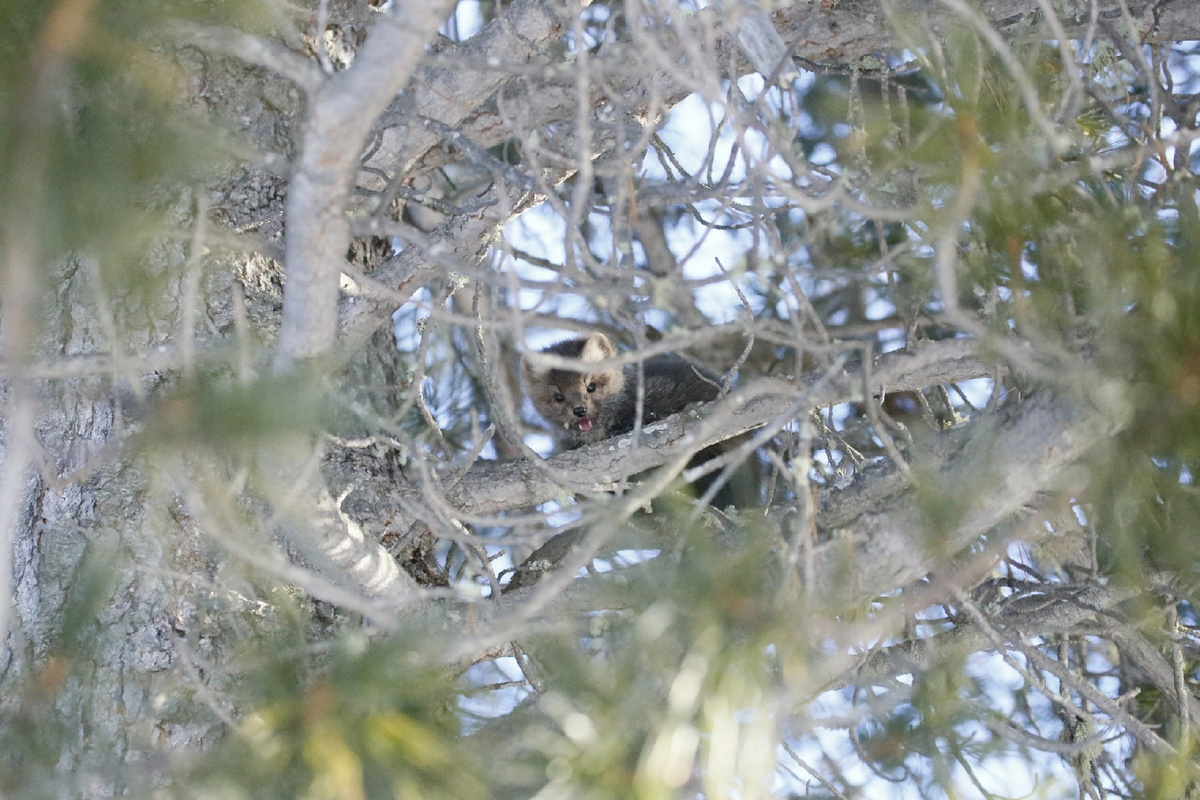 Листайте галерею, чтобы увидеть все фото.